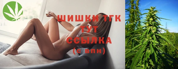 хмурый Алексин