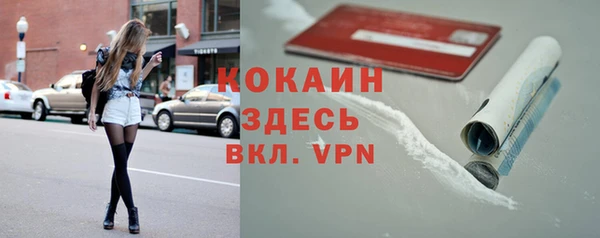хмурый Алексин
