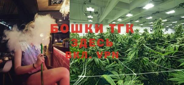 хмурый Алексин