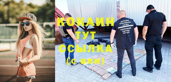 хмурый Алексин