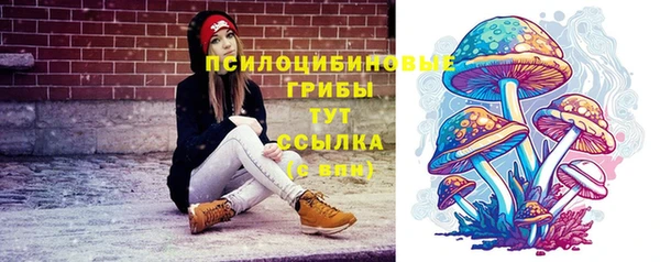 гидропоника Алзамай
