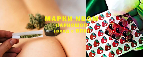 хмурый Алексин