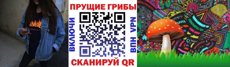 закладки  Болгар  Псилоцибиновые грибы GOLDEN TEACHER 